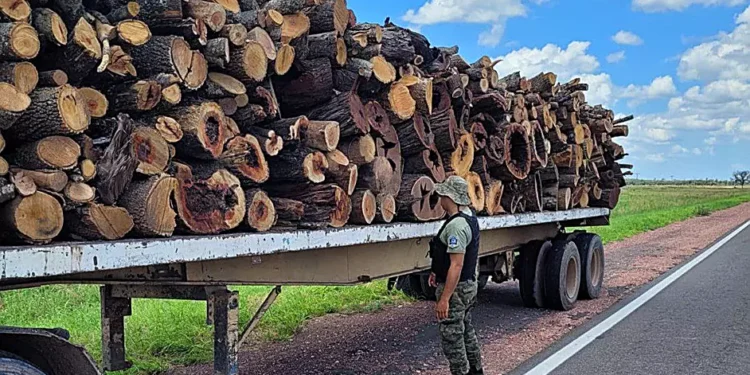 Policía Rural secuestra casi 40 toneladas de leña y soja