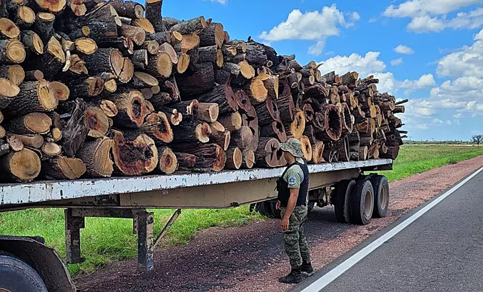 Policía Rural secuestra casi 40 toneladas de leña y soja